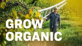 Organic Sustainability | New Agricultural Center Offers Organic Solutions to Produce