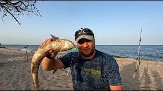 3 рыбалки 2 пиленгаса. Бердянск Азовское море 21, 23 и 24 июня 2024