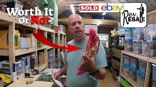 Is it WORTH IT to Sell LOWER Priced Items? What SOLD on EBAY over the WEEKEND!!