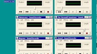 Winnoise
