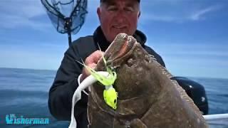 NEW Saltwater GULP Colors - Giant Fluke Fishing  The Fisherman Magazine