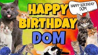 Happy Birthday Dom! Crazy Cats Say Happy Birthday Dom (Very Funny)