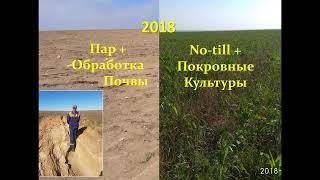 Начало No-till, ошибки и базовые принципы. Алексей Перепелица. Выступление