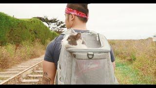 "The Navigator" Cat Backpack by Travel Cat - For Adventure, Hiking, Alternative to Plastic Carriers