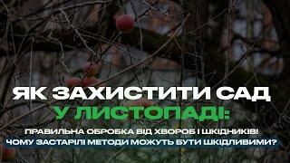 Чим обробити сад після опадання листя 