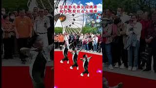 #舞台无处不在#这舞姿这步伐 #萌娃跳舞#溶图