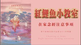 念經注意事項 - 前言 | 在家不論唸佛道教任何經典，都會招來陰魂「旁聽」，獲取功德，因為任何經典都有超渡作用  但是也有分別 ?? | 念經益處多 - 紅鯉魚小教室