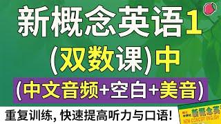 《新概念英语1》配套练习（双数课）中集（中文音频 + 空白时间 + 美音）| 最适合汉语母语者的英文教材