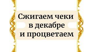 Сжигаем чеки в декабре. И процветаем.