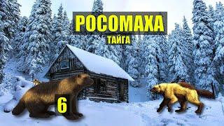 СУРЙОЗНЫЙ ЗВЕРЬ РОСОМАХА ДОБРАТЬСЯ б ДО ИЗБЫ ТАЙГА ОХОТА ДОМ в ЛЕСУ ИСТОРИИ из ЖИЗНИ СЕРИАЛ 6