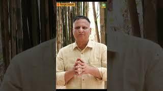 विदेश से नौकरी छोड़ बांस से कमा रहे है करोड़ो रुपए। #shortvideo #farming #viral