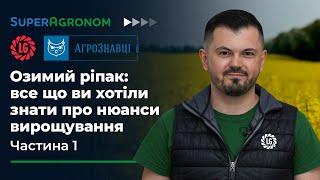 Озимий ріпак: оптимальні терміни сівби, норми висіву, міжряддя, гібриди для no-till / АгроЗнавці