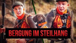 Fliegende Rehe - Drückjagd im Steilhang - Sächsische Schweiz | Niklas on fire