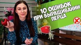 Выращиваем перец с HITSAD TV ️ Каких ошибок стоит избегать? ️ Полезные советы огородникам