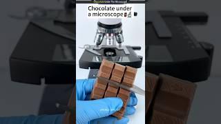 Chocolate Under The Microscope ||#shorts #youtubeshorts #microscope