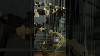 From Grounded Vision to Skybound Elegance, where dream reflects in every layer of light!
