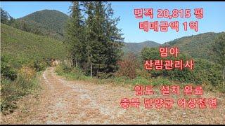 충북 단양군 어상천면 임야 산림관리사 매매가격 1억 면적 20,815평