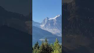 #mountains #hikingtrails #nature #hiking #mountainlovers #mountainhiking #mountain #assiniboine