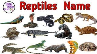 REPTILES Name !! Reptiles video for kids | रेंगने वाले जानवरों के नाम | Kids study park