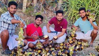 PALM FRUIT|நொங்கு குடிக்கலாம் வாங்க |இப்படிக்கு நாங்க|@Aakko views