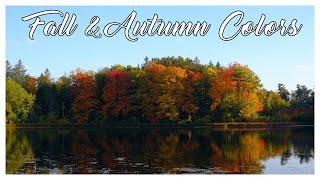 October Fall Foliage Hunting in Ontario | Autumn & Fall Vibes