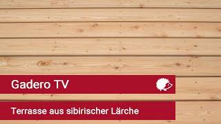 Terrasse aus sibirischer Lärche - Gadero TV Deutschland