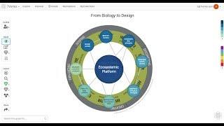 7Vortex for Biomimicry Business Education