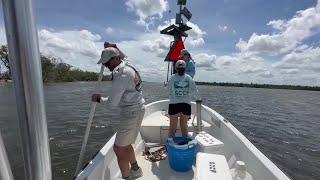 Could our algae blooms be linked to Caloosahatchee tributaries?