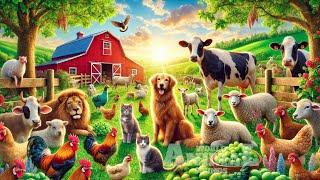 Cute Farm Animals: Cow, Dog, Sheep, Kitten, Chicken - Farm Animal Sounds