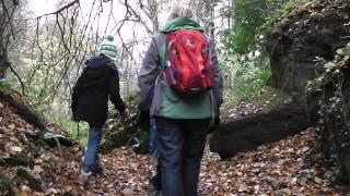 Dudmaston Estate Walk