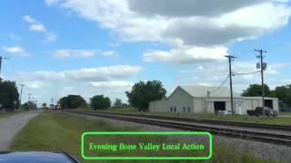 Evening Trains In Bone Valley, On The Valrico Sub