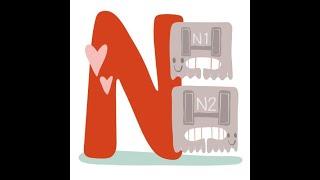 N is for the N1 Wide Groove and N2 Narrow Groove Pintuck Feet!