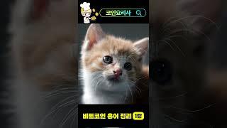 #비트코인 #업비트#용어정리#코린이용어