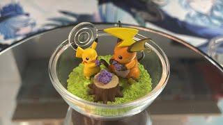 (Rement) Pokemon Pikachu and Raichu- Terrarium Collection 14 #pokemon #Thanhbb