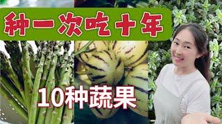 【Gardening】 10 perennial vegetables must have in your veggie garden | 10种种一次吃十年的多年生的蔬果，懒人种菜必看 ｜