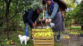  Harvesting Pears & Preserving for Winter: Village Cooking Vlog 