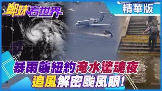 【鄭妹看世界】海水倒灌進紐約 地鐵成瀑布!馬路機場淹成海汪洋 公車淹水乘客驚慌跳上座椅防滅頂!追風計畫解密颱風眼!@全球大視野Global_Vision  精華版