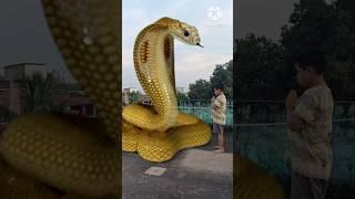 Cobra snake chasing to a liitel boy // Snake video🪱🪱 #shorts #viral #vfx #vfxshorts #naginshorts