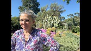 Climate-Resilient Gardening at Ruth Bancroft Garden and Nursery