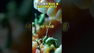 눈뜨자마자 마시는 물 세균 덩어리 입니다!#건강#건강정보