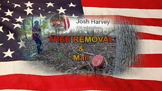 TREE REMOVAL & CAST IRON MAIL!