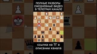 Шахматы для души