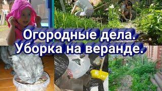 УБОРКА НА ВЕРАНДЕ. ОГОРОДНЫЕ ДЕЛА.