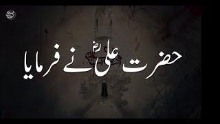 Hazrat Ali Quotes 2 || Whatsapp status || Tik Tok Videos || Islam ki dunya