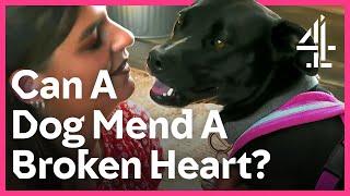 Dog Helps Mend A Broken Heart | The Dog House