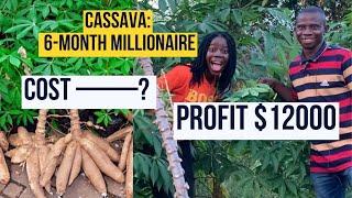 how he makes over $12000 in cassava farming business in Ghana| cost and profit in cassava farming