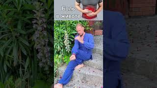 Секреты китайской медицины: Хлопки по сгибу локтя, убирают боль в животе #зож #упражнения #здоровье