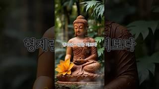 형제란, 같은 피보다같은 마음을 나누는 인연입니다. #부처님의가르침 #부처님말씀 #명언 #불교가르침
