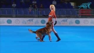 FCI Dog dance World Championship 2016 – Winner heelwork to music - Ilina Polina and Ilim (Russia)