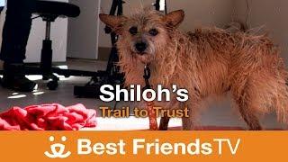 Best Friends TV Episode 24: Shiloh's Trail to Trust